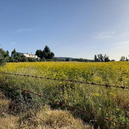 Casa rural Huerta La Laja,casa Grande